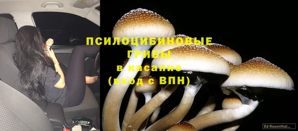 наркотики Карпинск
