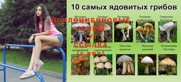 бутират Кинешма